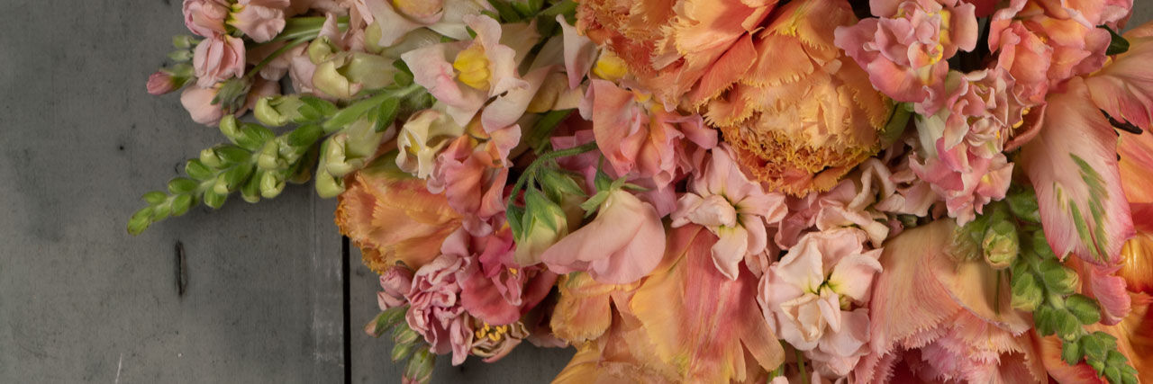 Flower Varieties in Shades of Peach | Johnny's Selected Seeds