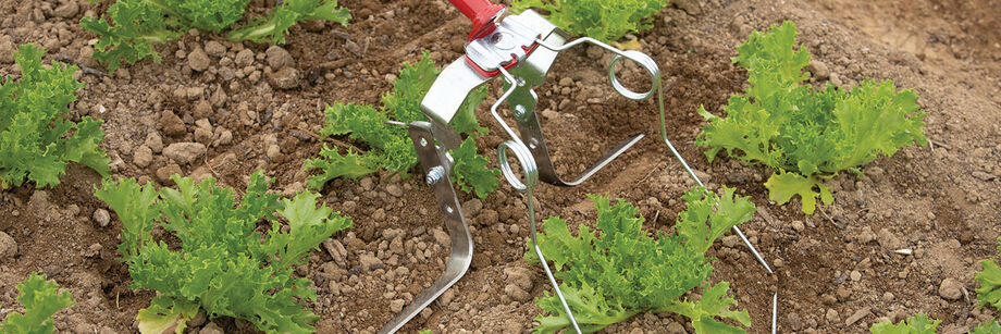 A spring hoe with two attachments mounted at once; this is an example of stacked tools for more efficient weeding.