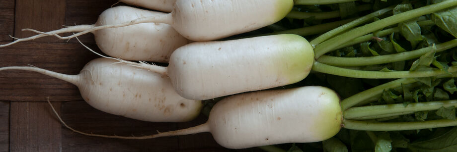 Several oblong white daikon radishes.