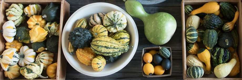 Ornamental gourds displayed in wooden boxes, a white bowl, and a quart container.