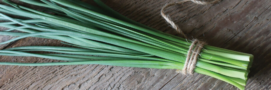 A bundle of chives, tied with twine.