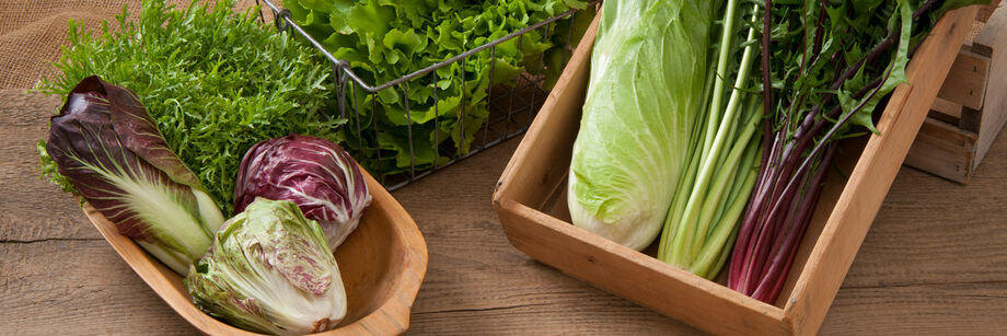 Chicory heads from several of Johnny's chicory varieties, displayed in two wooden boxes and a metal basket.