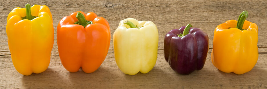 Five bell peppers: two yellow, one white, and one purple variety.
