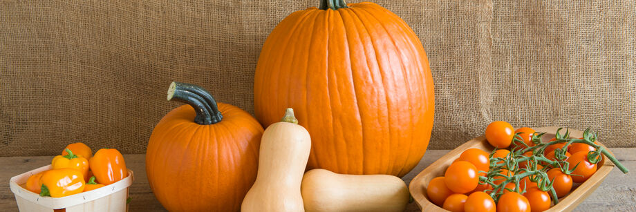 The fruits of several of Johnny's-bred varieties, including pumpkins, butternut squash, tomatoes, and peppers.