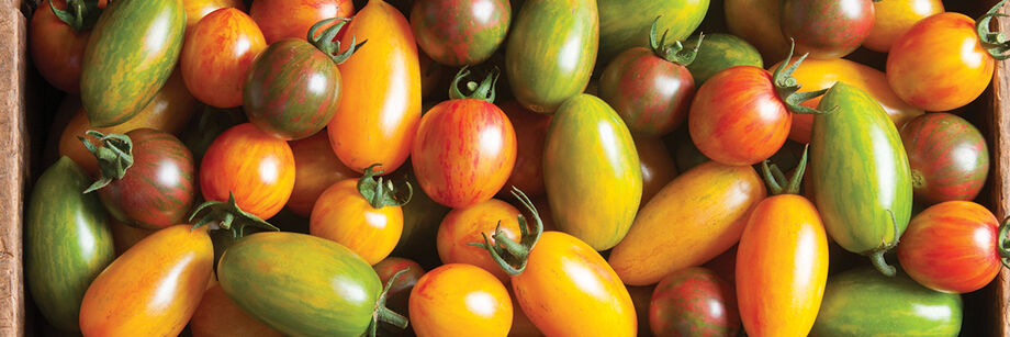 Close up of specialty tomatoes.