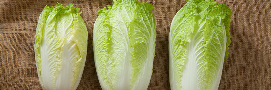 Three heads of Chinese cabbage, grown from 3 different Chinese cabbage seed varieties, laid out on a burlap sack.