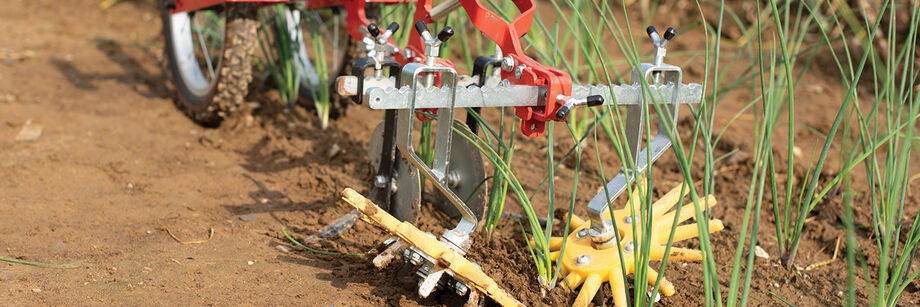 Close-up of a wheel hoe with finger weeders being used to cultivate around young aliums.