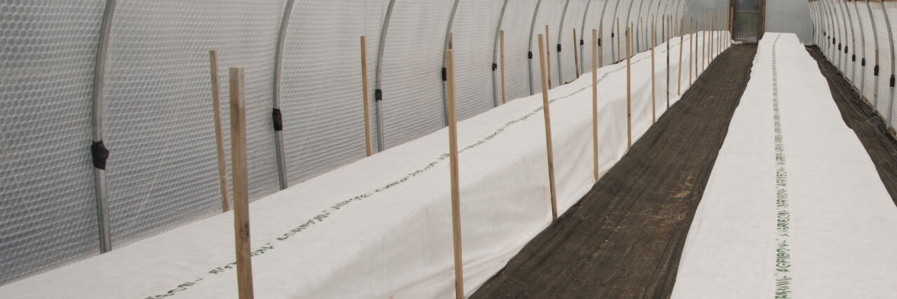 Agribon clearance frost cloth