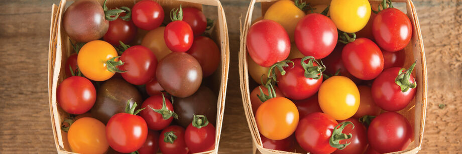 A colorful assortment of cherry tomatoes, grown with Johnny's cherry tomato seeds, and displayed in wooden quart containers.