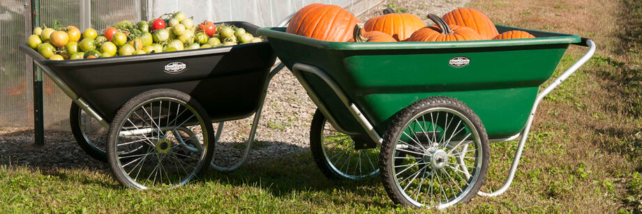 Two SmartCart garden carts. One black and filled with green tomatoes; one green and filled with pumpkins.