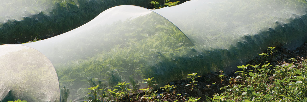 ProtekNet Insect Barrier | Johnny's Selected Seeds