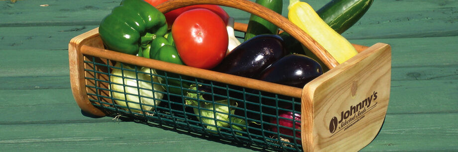 A garden hod filled with freshly harvested vegetables.