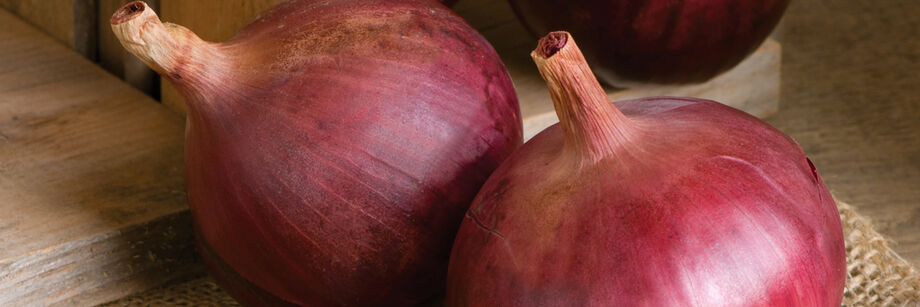 Two large, red onions on a cutting board.