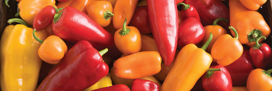 Mix of red and orange sweet specialty peppers in a range of sizes and shapes.