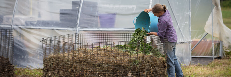 Person pouring garden waste into a compost bin made of lobster trap wire.