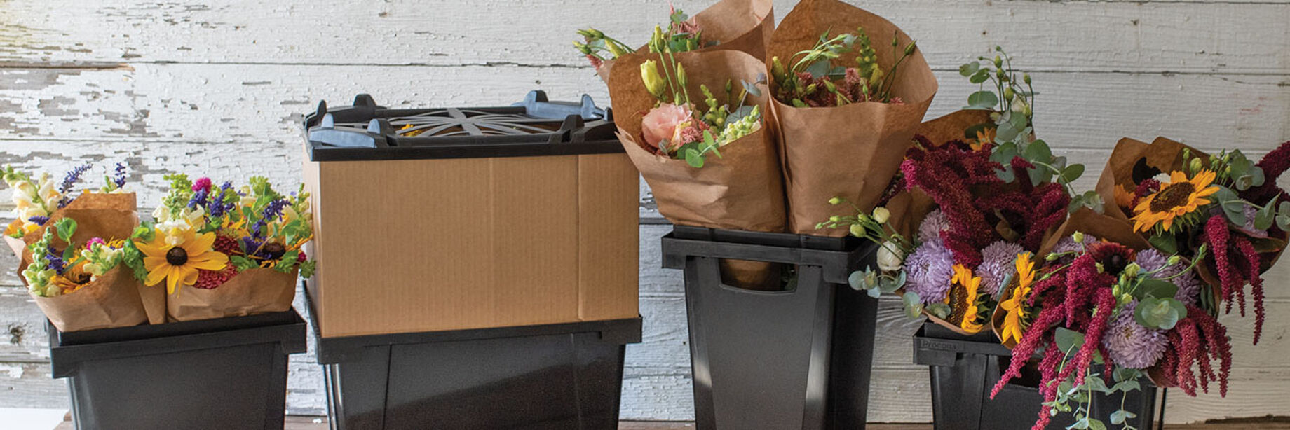 Procona System Flower Harvest Buckets Johnny's Selected Seeds