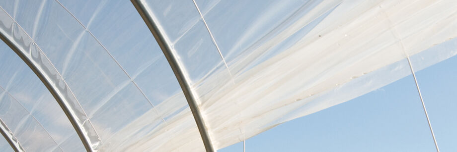 View looking up through a layer of greenhouse plastic, to the blue sky above.