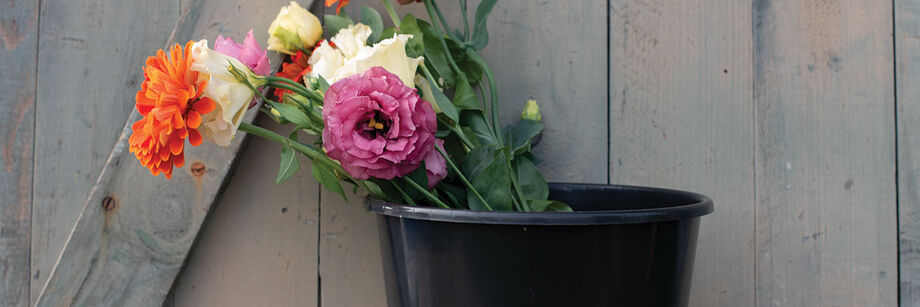 Flowers in a black plastic flower bucket.