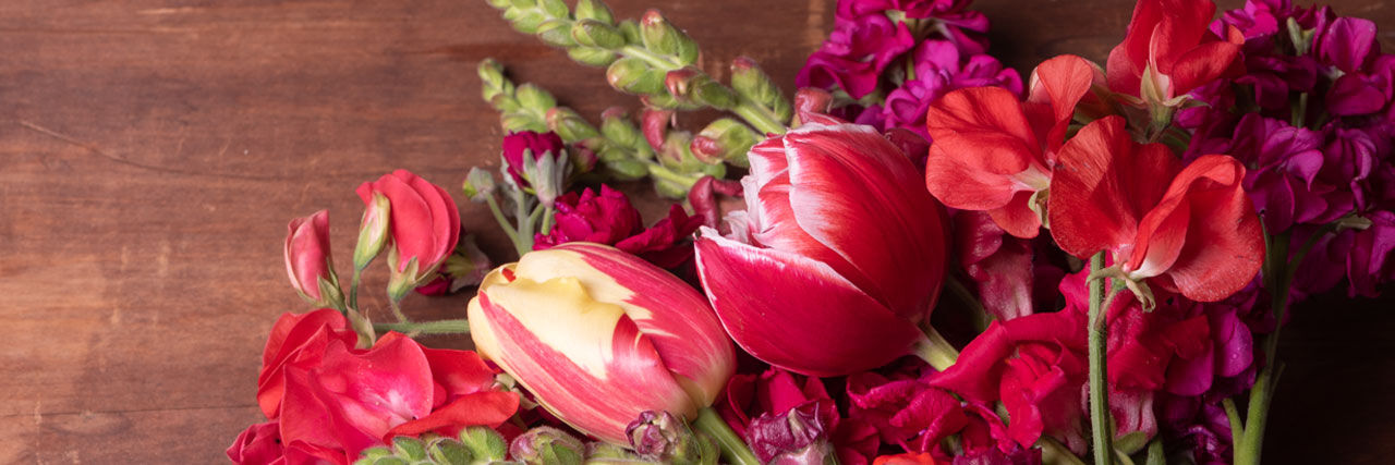 Red Flower Varieties | Johnny's Selected Seeds