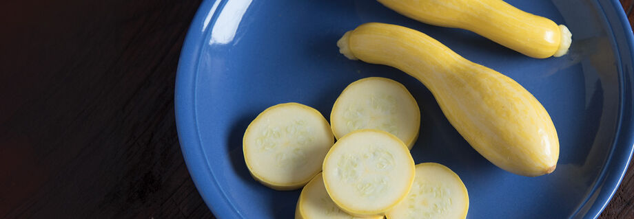 Tempest summer squash on a plate.