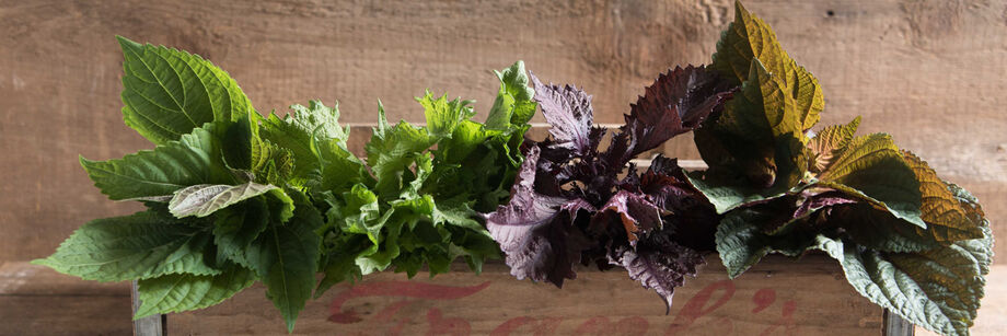 Bunches of green and red shiso displayed in a wood box.