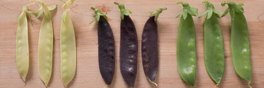 Green, yellow, and purple snow pea pods shown on a wooden cutting board.