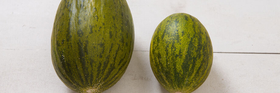 Two Piel de Sapo melons show the mottled green skin of this type of melon.