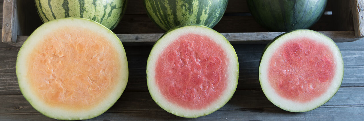 Seedless watermelon 2025