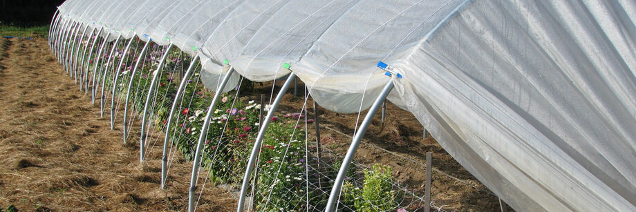 A caterpillar tunnel at the Johnny's research farm.