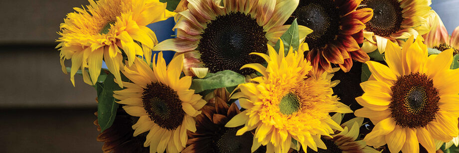 Bouquet made from blooms of our Summer Breeze sunflower mix seeds.