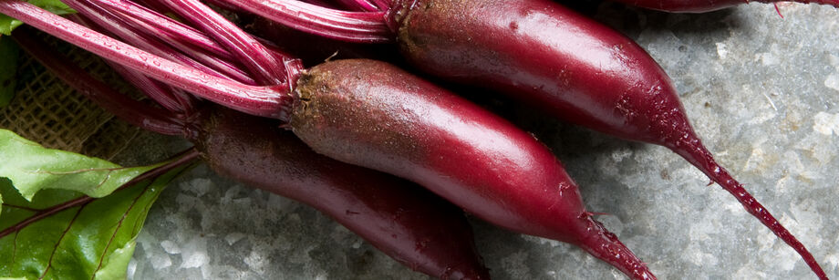 A bunch of red, cylindrical beets.