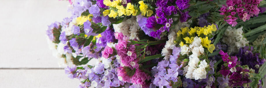 Bouquet of flowers grown from our statice seed mix.