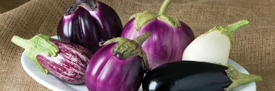 The fruits of six of Johnny's eggplant varieties. There is a range of colors, from deep purple, to variegated, to white.