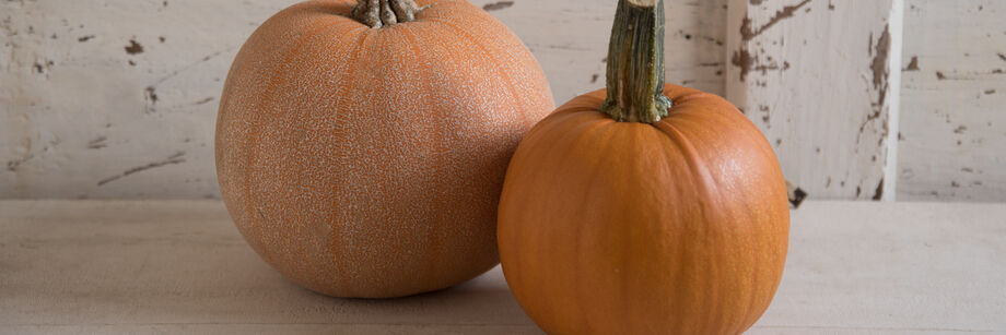 Two of our pie pumpkins on a wooden bench.