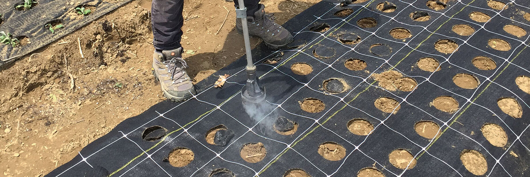 Mulch Hole Burners Johnny's Selected Seeds