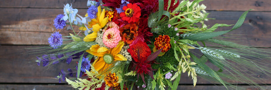 A bouquet of cut flowers, including blue, yellow, pink, and red flowers and unique grasses and cut flower fillers.