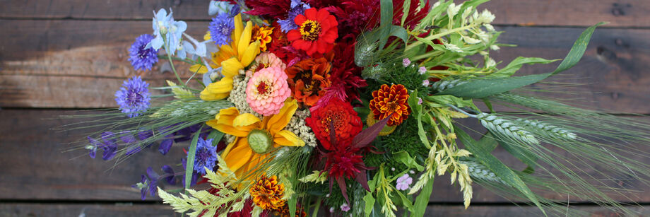  Planting, Growing, Seeds and Caring for Bouquets