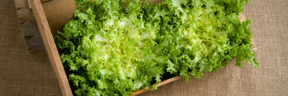 Two bright green and frizzy heads of endive displayed in a wooden box.