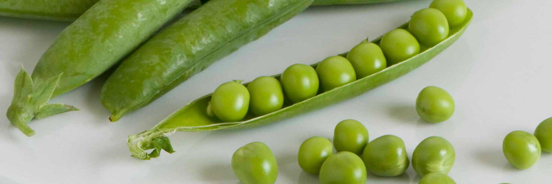 Shelling Pea Seeds (English Pea Seeds) Johnny's Selected Seeds