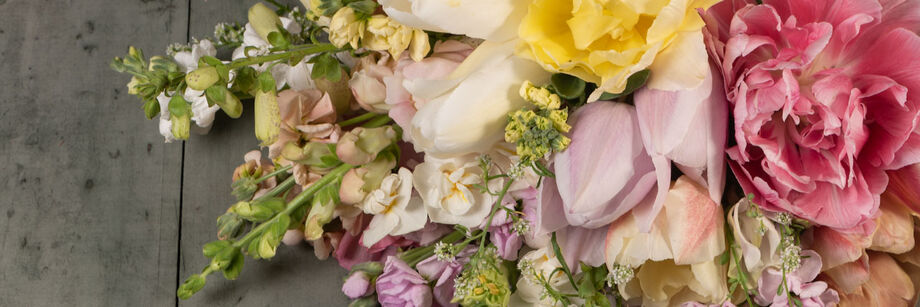 A bouquet of pastel flowers in cream, lavender, rose, and yellow.
