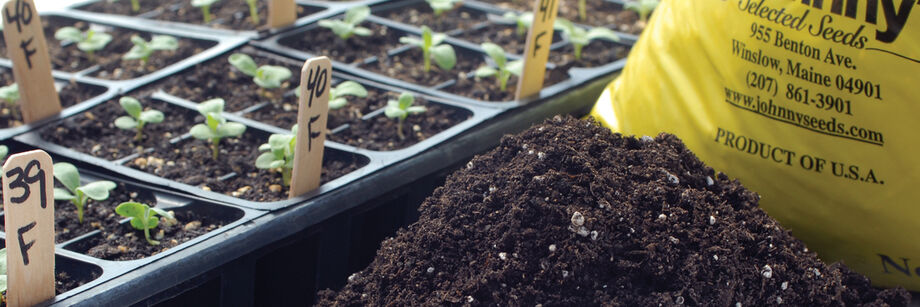 Flats filled with six-packs of seedlings displayed next to a bag of Johnny's organic soilless seed starting mix.