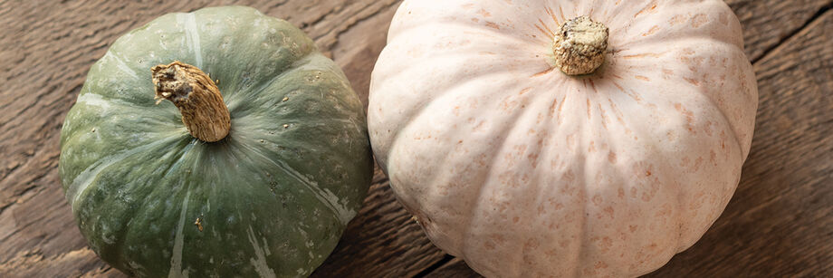 Sweet Jade and Winter Blush, two winter squash varieties bred by Johnny's.
