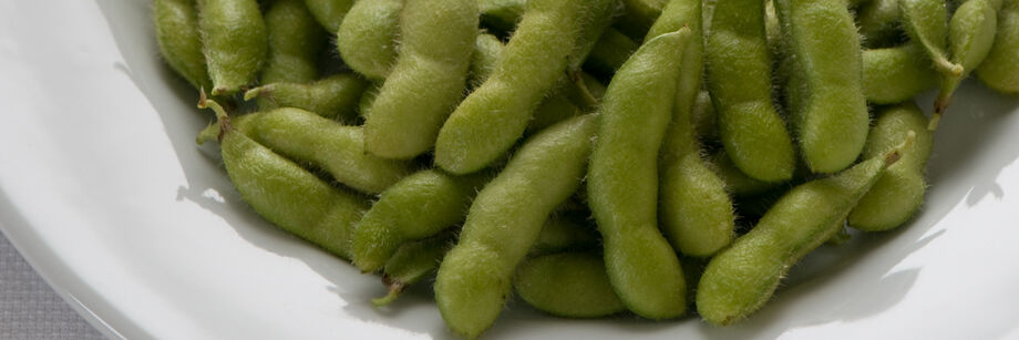 A white dinner plate with edamame on it.