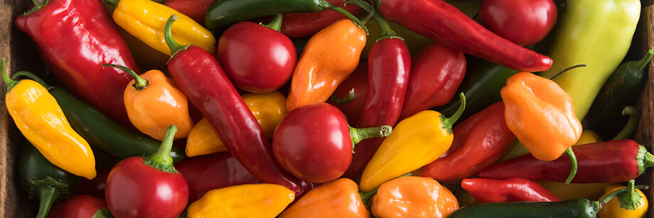 Fruits grown from our hot pepper varieties, including a bright mix of reds, oranges, greens, and yellows.