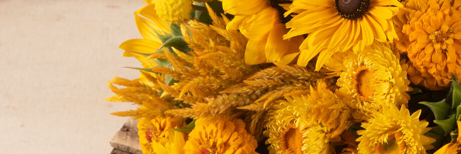 A bouquet of gold flowers, including zinnia, sunflowers, and celosia.