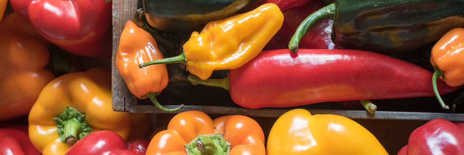 Fruits grown from our pepper varieties, including red, orange, yellow, and green hot and sweet peppers, in wood boxes.