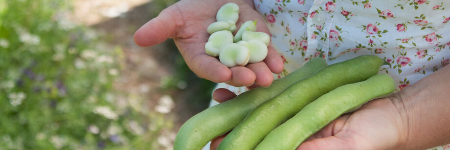 Woman holding fava beans.