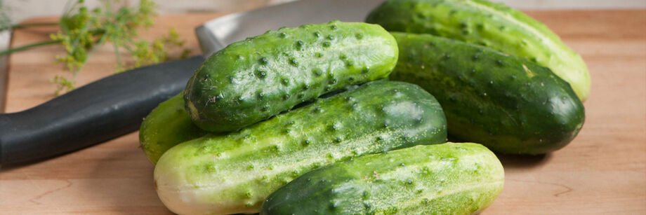 Several small whole pickling cucumbers laid out on a wood cutting board alongside a knife and sprig of dill.