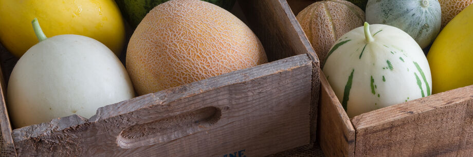 Two wooden crates filled with an assortment of melons grown from Johnny's melon seeds.