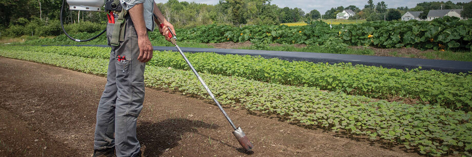 Person flame weeding a seedbed with our Red Dragon Backpack flame weeder.